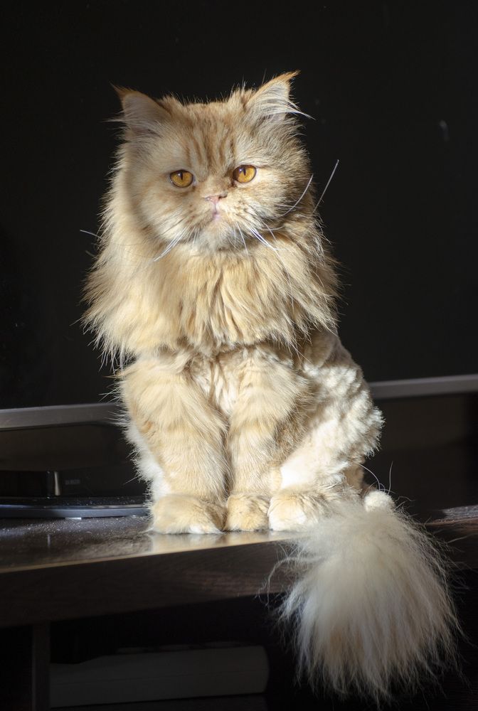 Photograph by Роман Кудрявцев