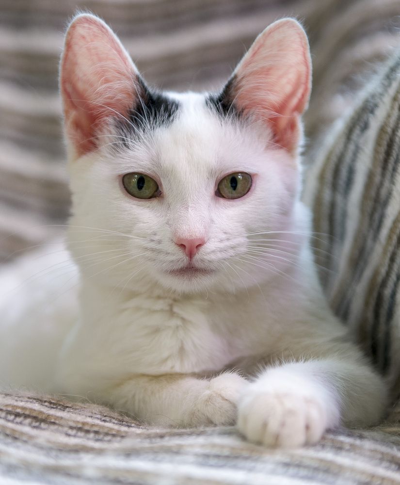 Photograph by Роман Кудрявцев