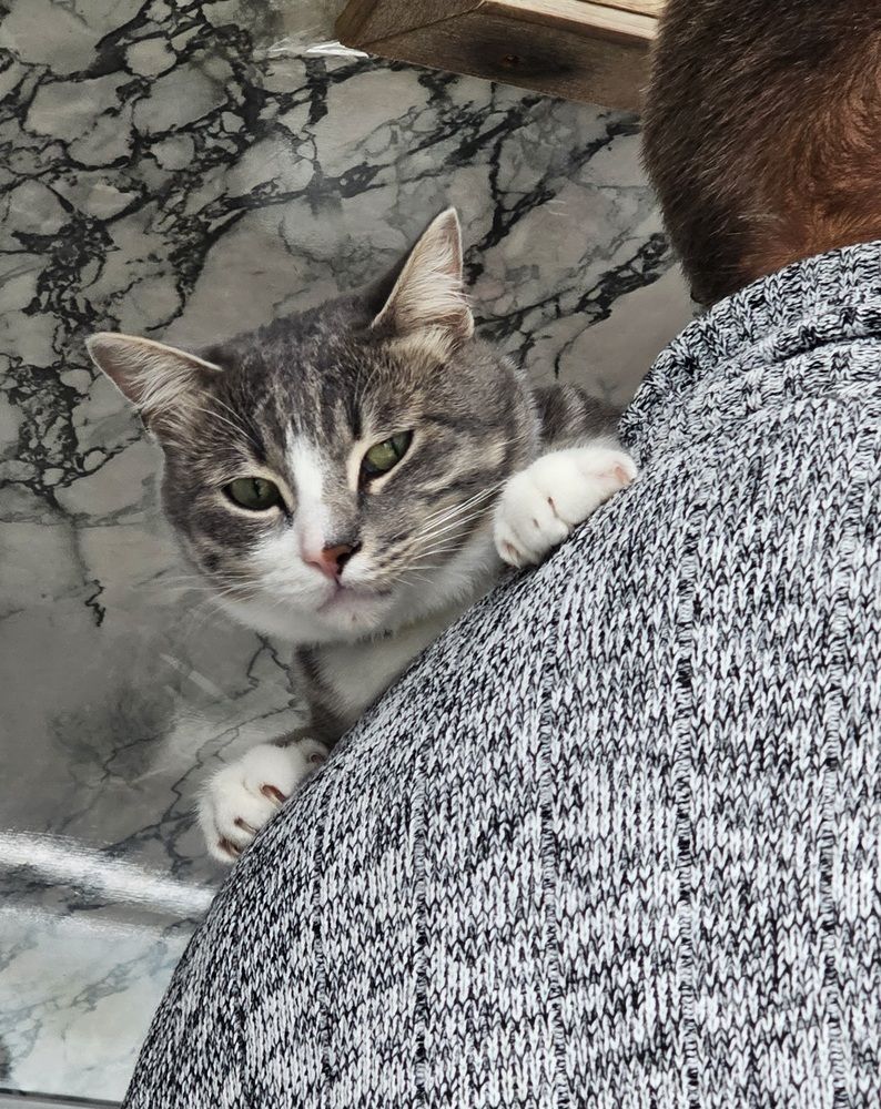 Photograph by Лариса Ким