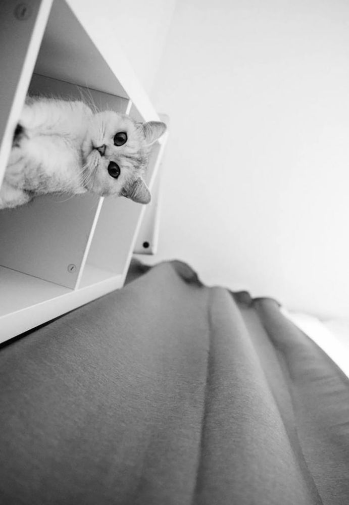 Photograph by VELES YANA