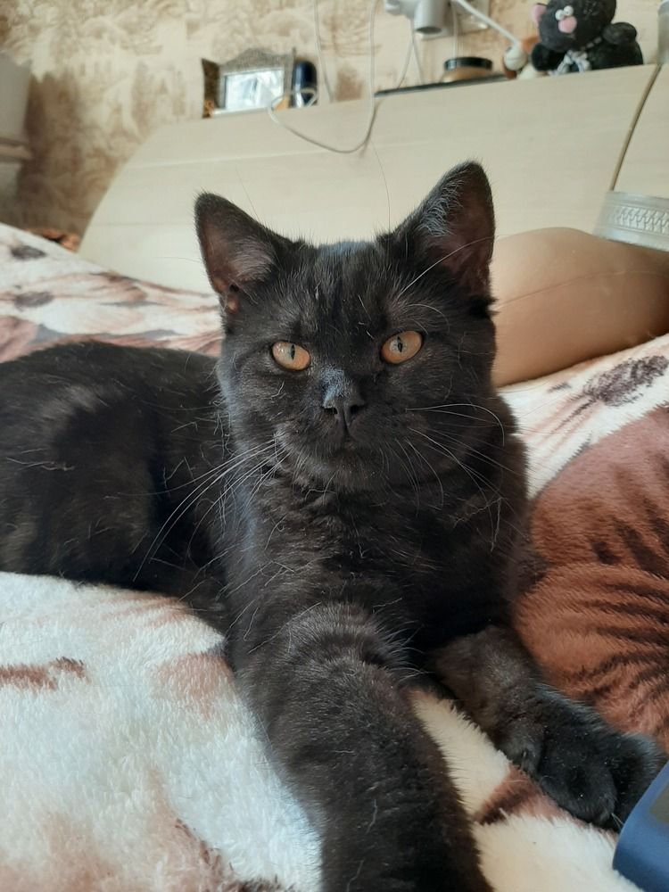 Photograph by Лариса Ким