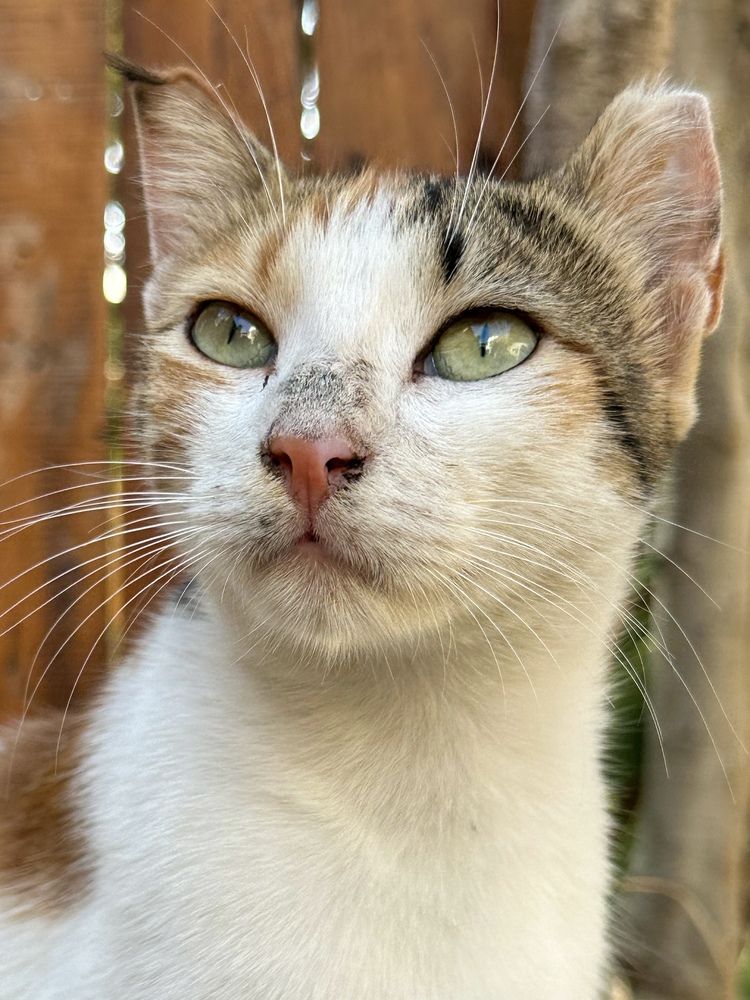 Photograph by Hadine elsaadi