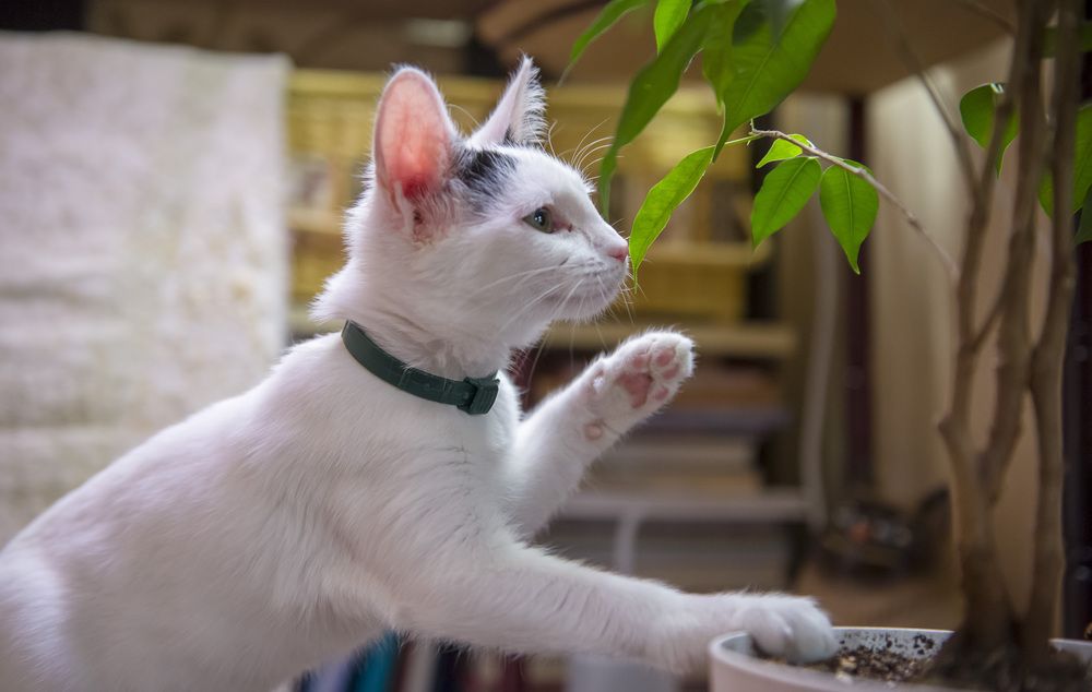 Photograph by Роман Кудрявцев