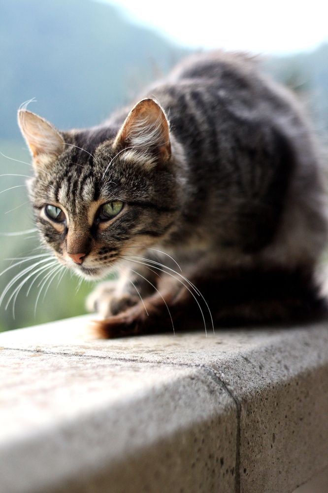 Фотография автора Яна Сергеева