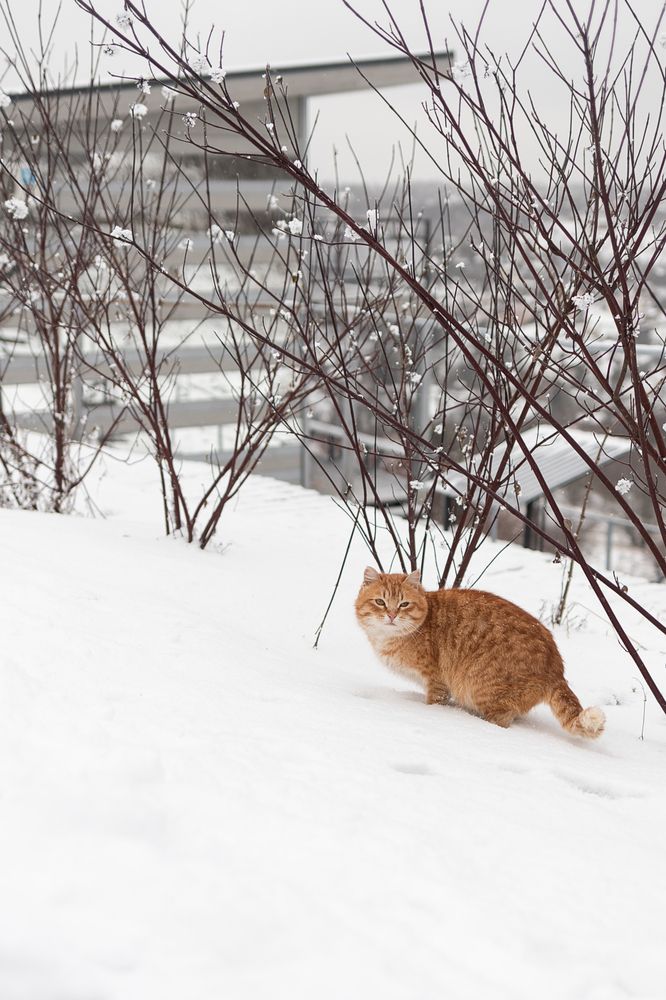 Photograph by Юлия Шевцова