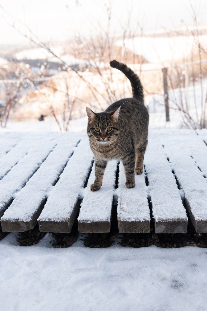 Photograph by Юлия Шевцова