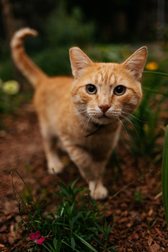 Photograph by Юлия Шевцова