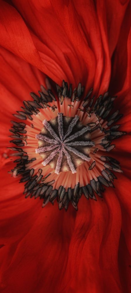 Фотография автора Наталья Алексеева