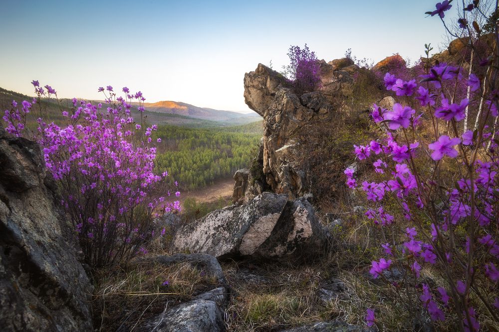 Photograph by Портных Дмитрий