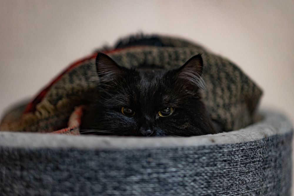 Photograph by Sergey Vatta