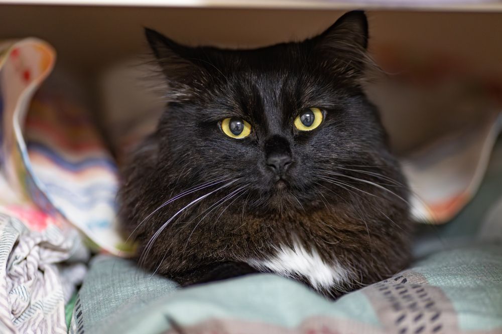 Photograph by Sergey Vatta