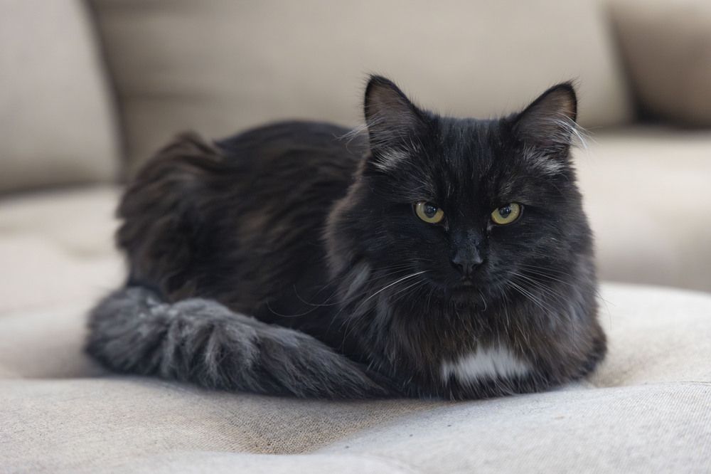 Photograph by Sergey Vatta