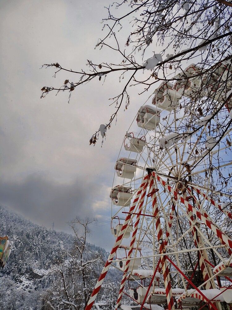 Photo #12207658