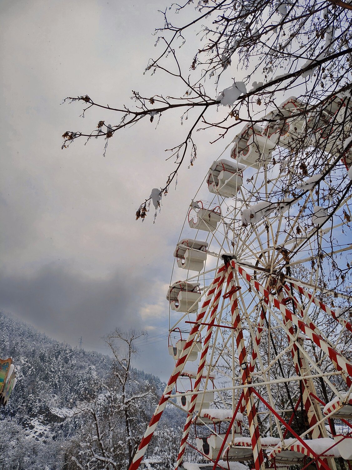 Photo #12207658