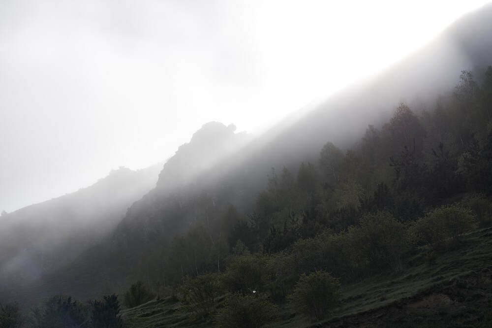 Photograph by Максим Карпович