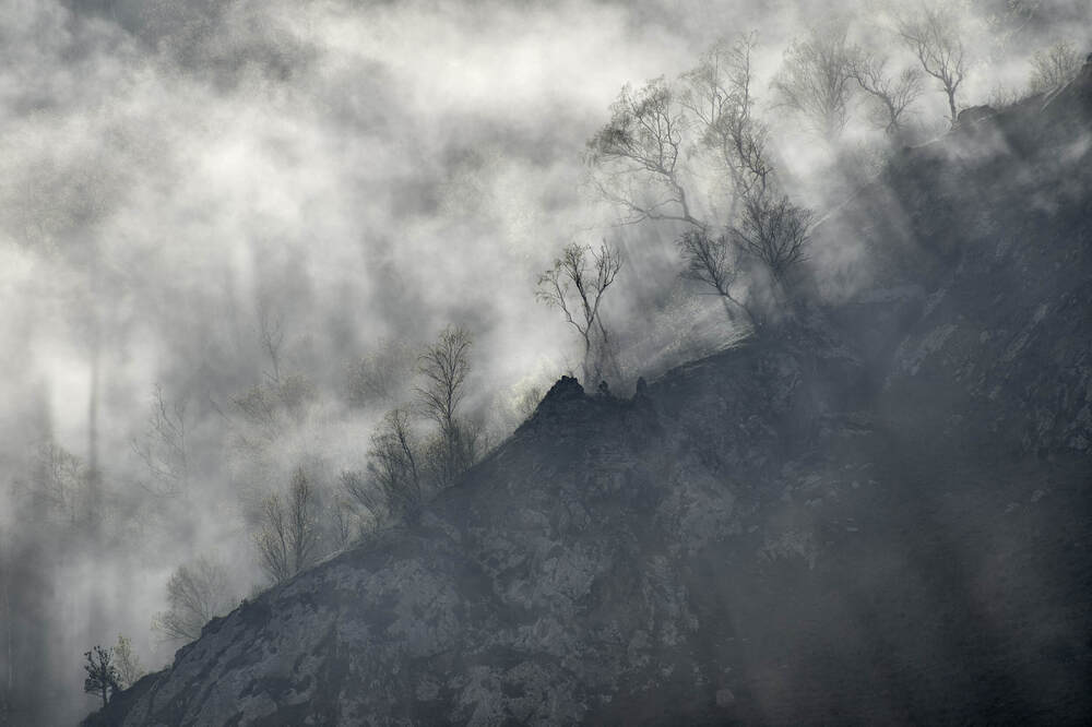 Photograph by Максим Карпович