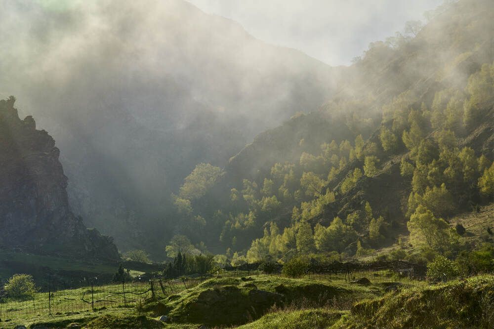 Photograph by Максим Карпович