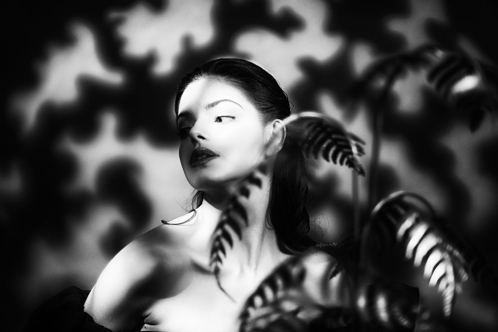 Фотография автора Иван Сафронов