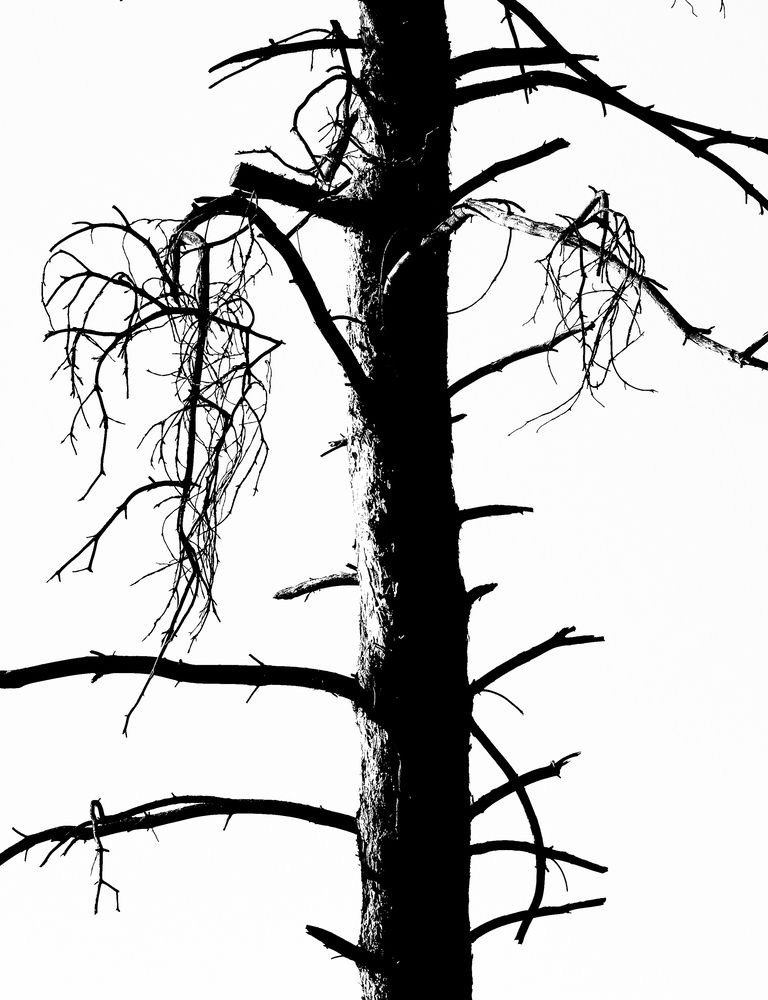 Photograph by Андрей Безгин