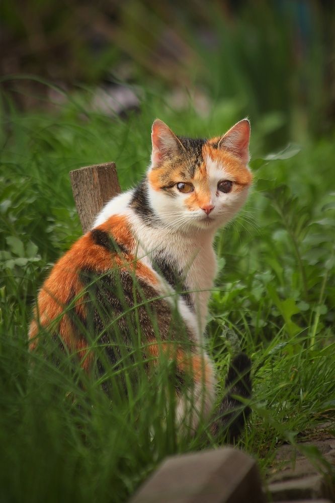 Photograph by Татьяна Бравая