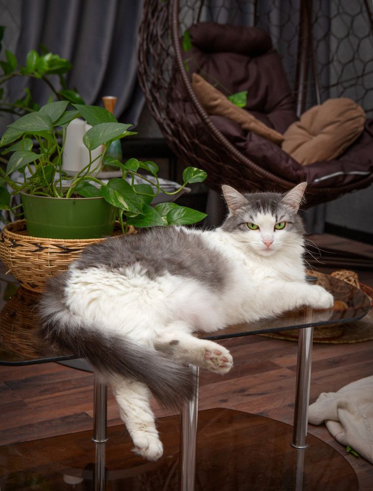 Photograph by Кольцова Мария