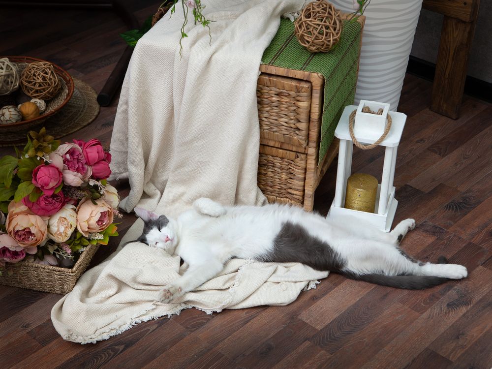 Photograph by Кольцова Мария