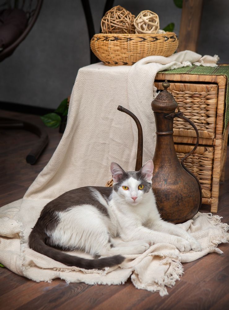 Photograph by Кольцова Мария