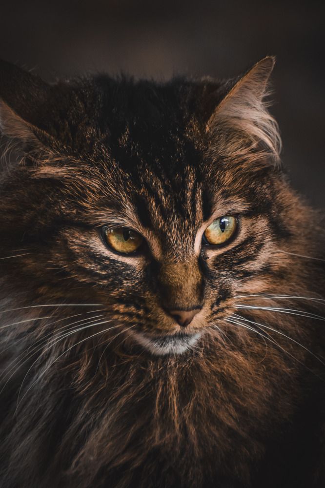 Photograph by Fernando Gabriel Castro Ortiz