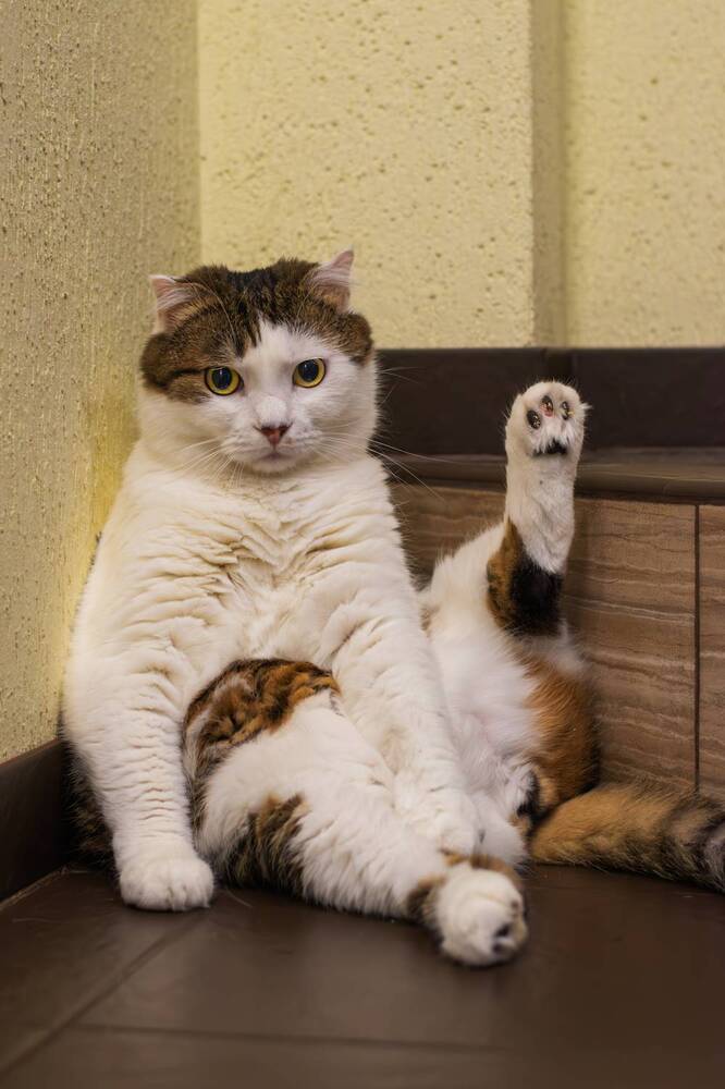 Photograph by Павел Спиваков