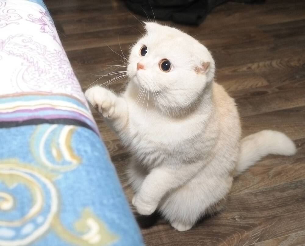 Photograph by Сергей Рябов