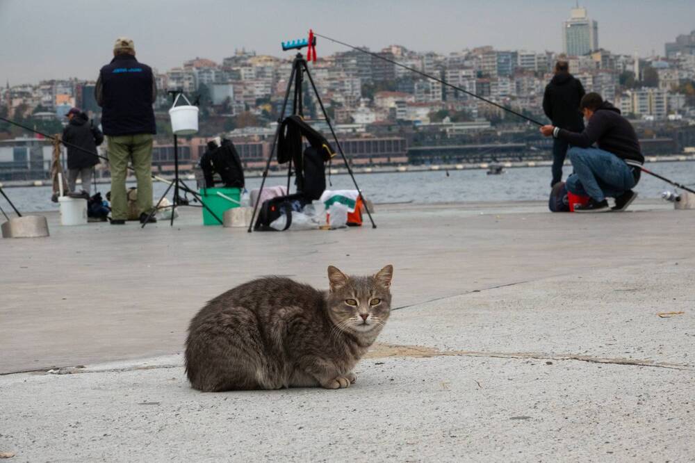 Photograph by Андрей Кротов