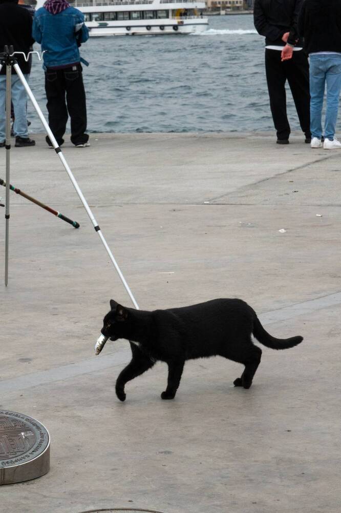 Photograph by Андрей Кротов