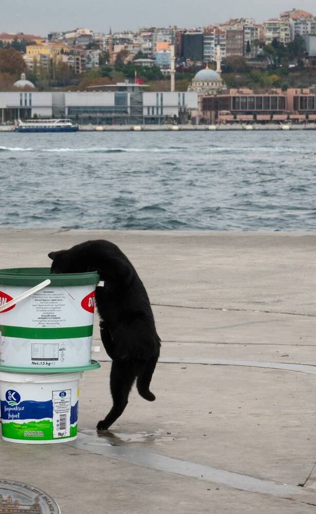 Photograph by Андрей Кротов