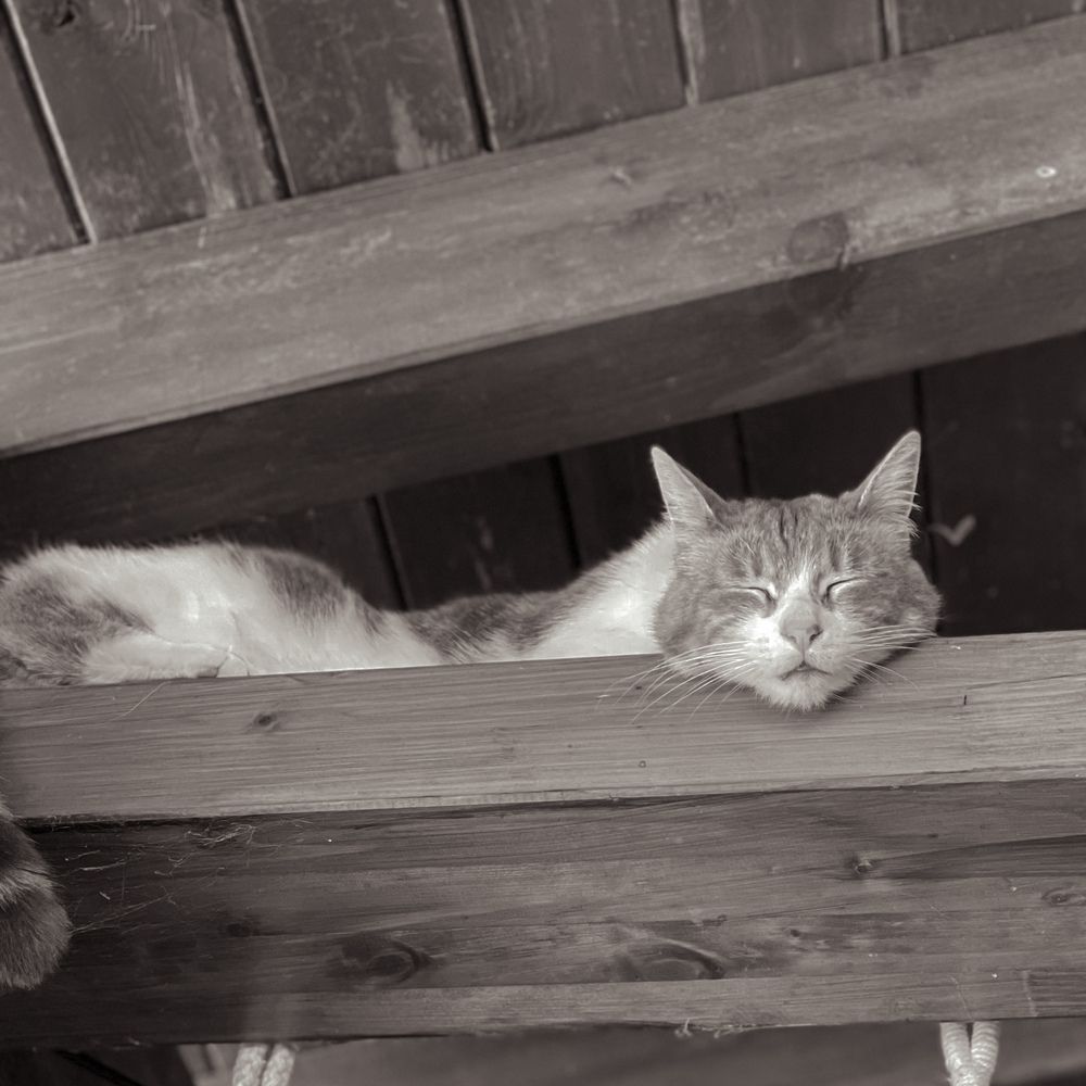 Photograph by Наталья