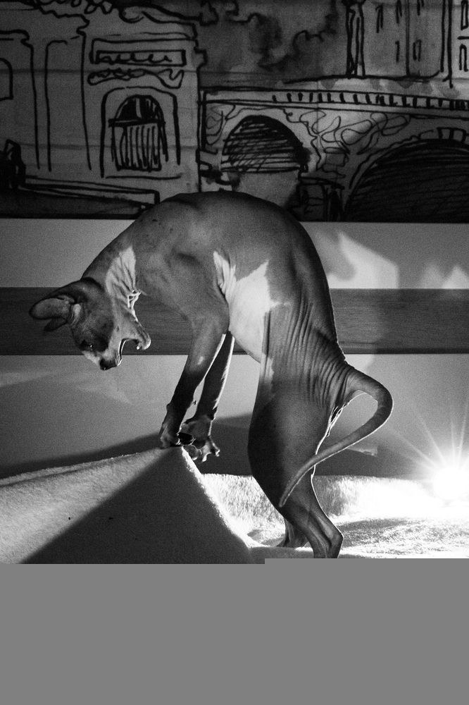 Photograph by Елена Ибрагимова