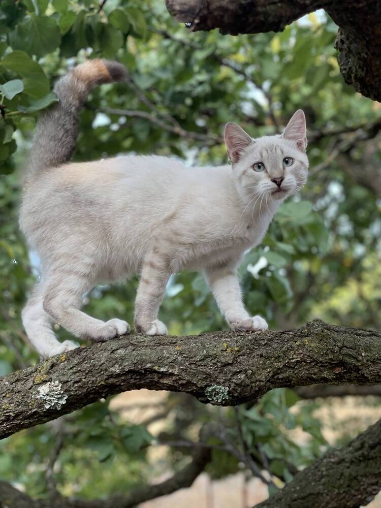 Photograph by Наталья