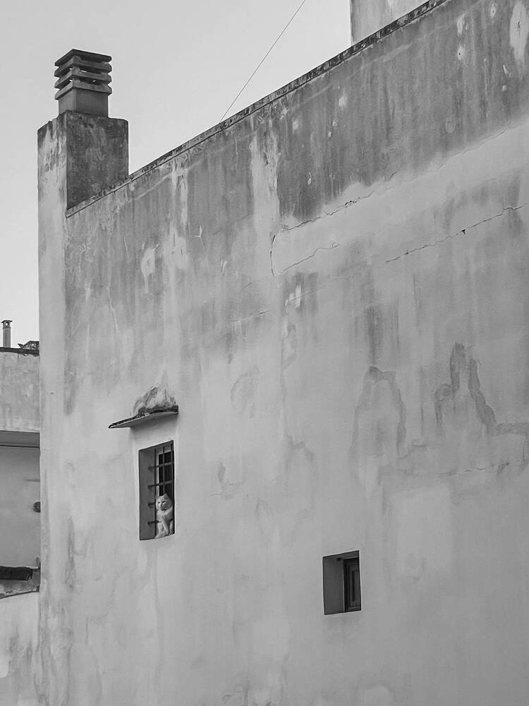 Photograph by Наталья