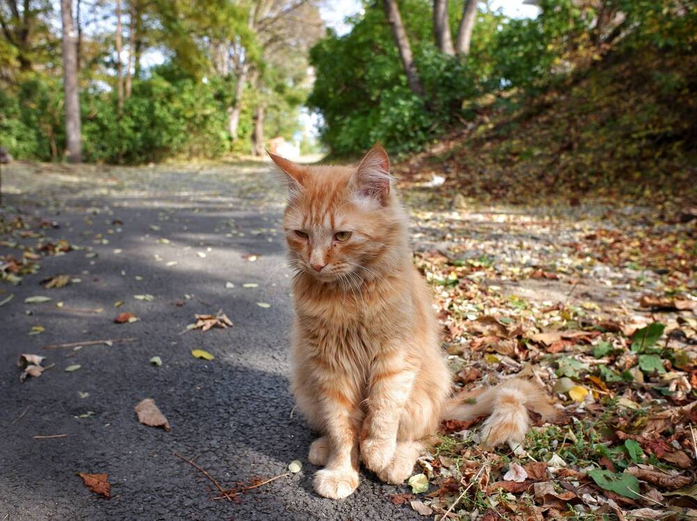 Photograph by Зорин Миша