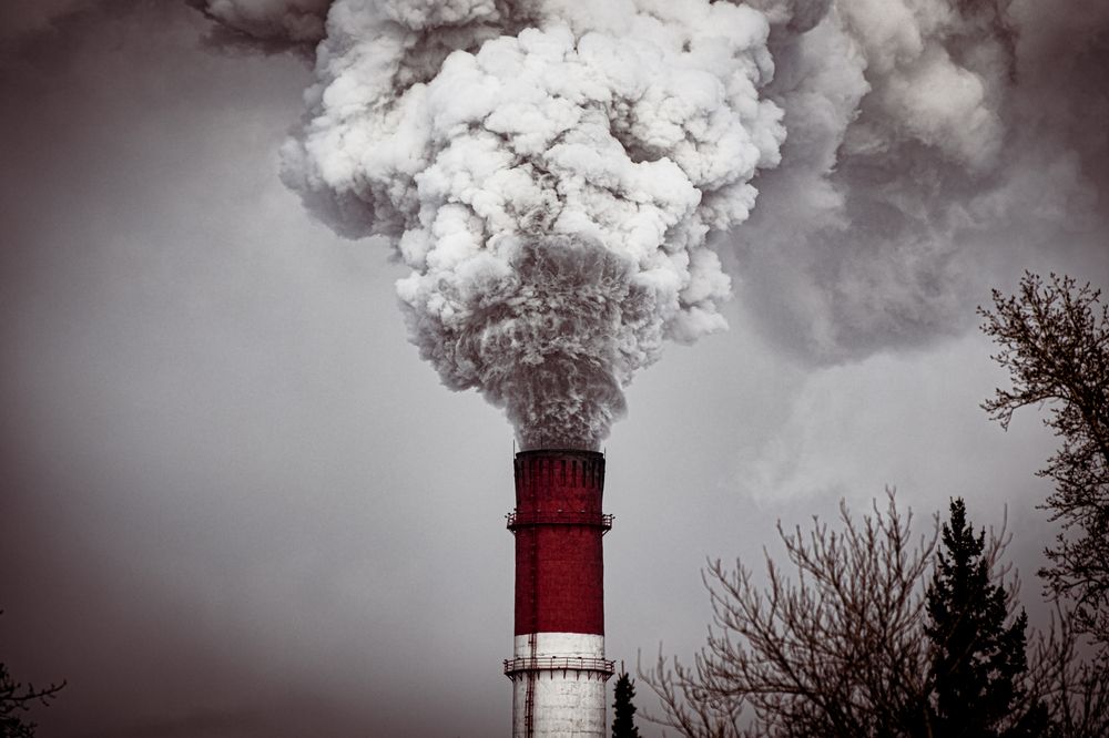 Photograph by Елена Берсенёва