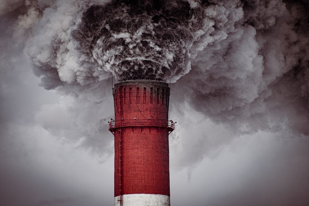 Photograph by Елена Берсенёва