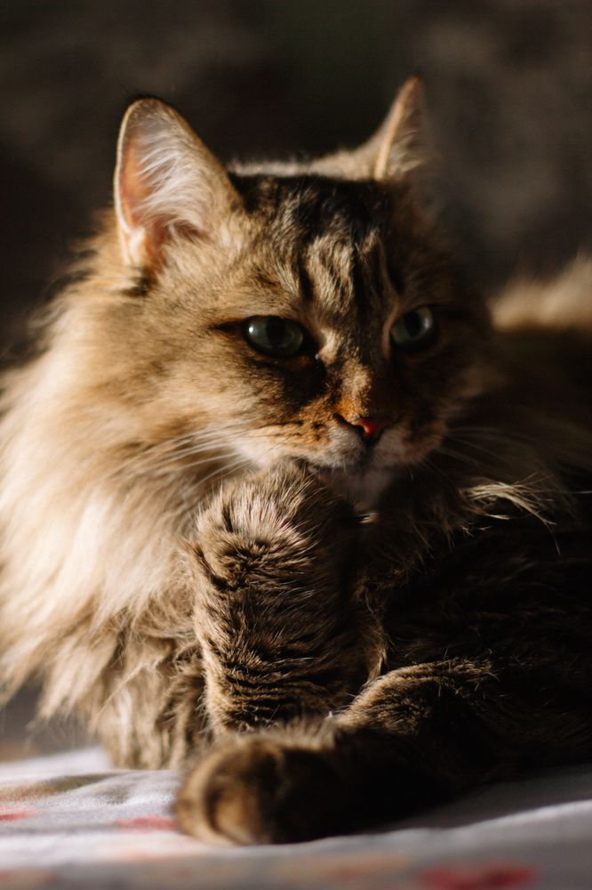 Photograph by Ольга Денисова