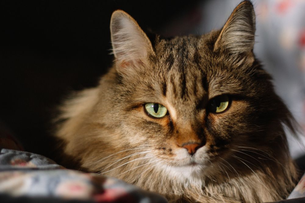 Photograph by Ольга Денисова