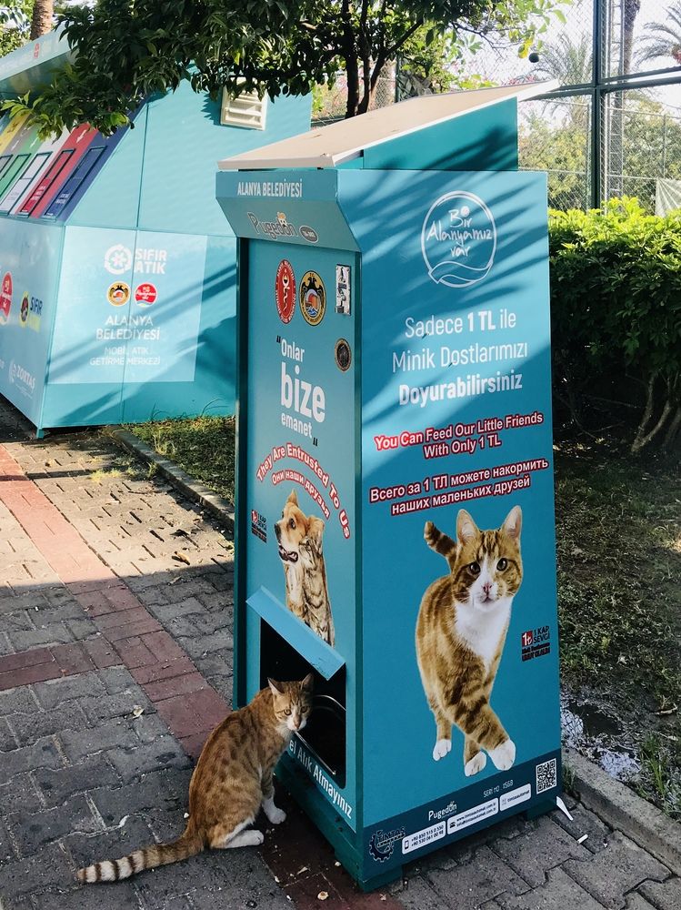 Photograph by Наталья Бычкова