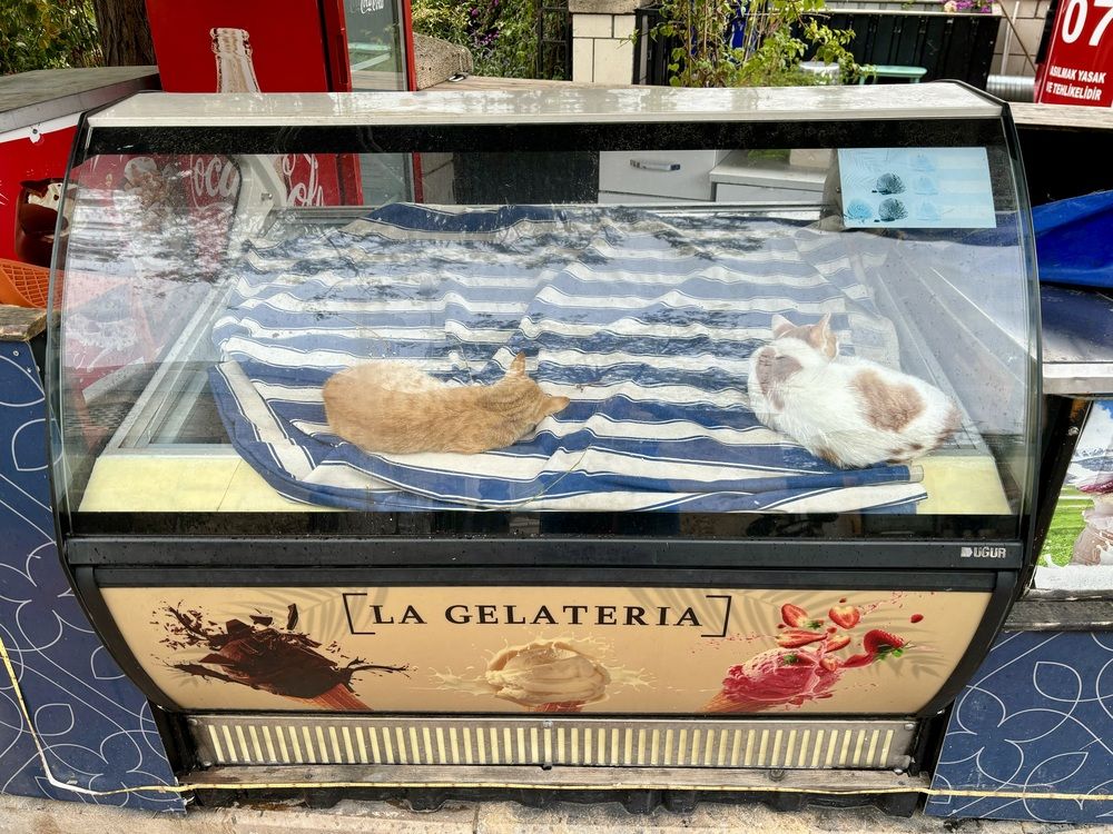 Photograph by Наталья Бычкова