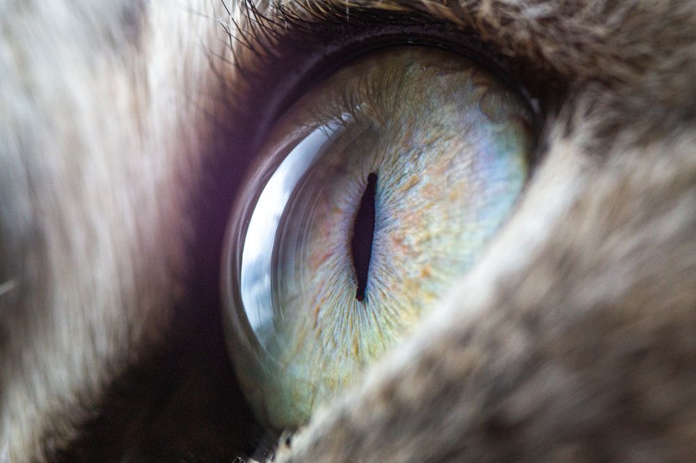 Photograph by Богдан