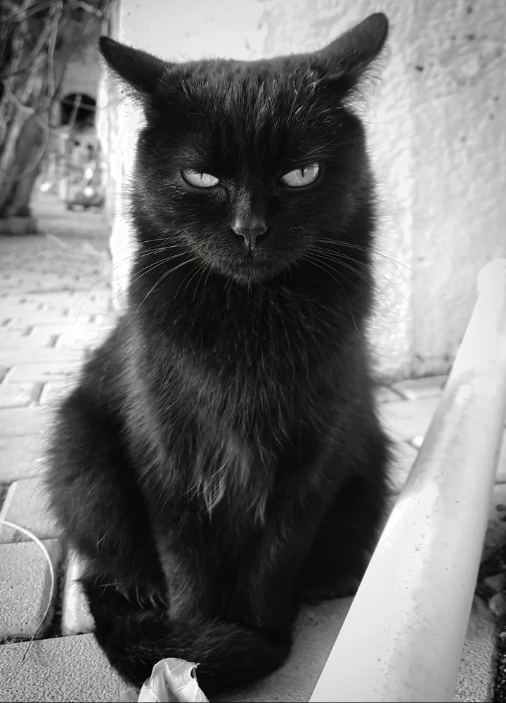 Photograph by George Pavlov