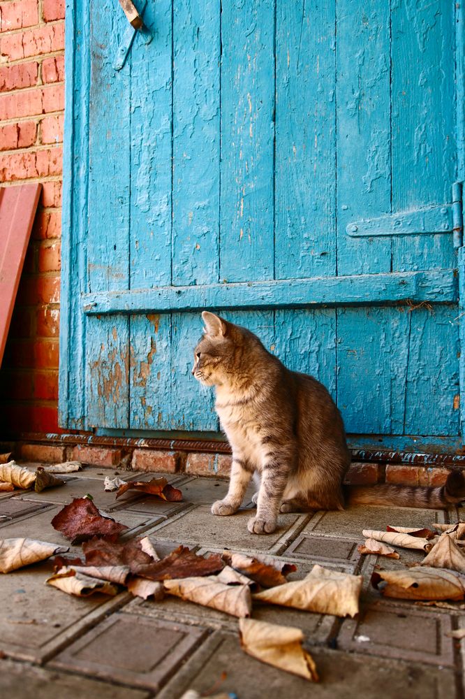 Photograph by Алексей Шевцов