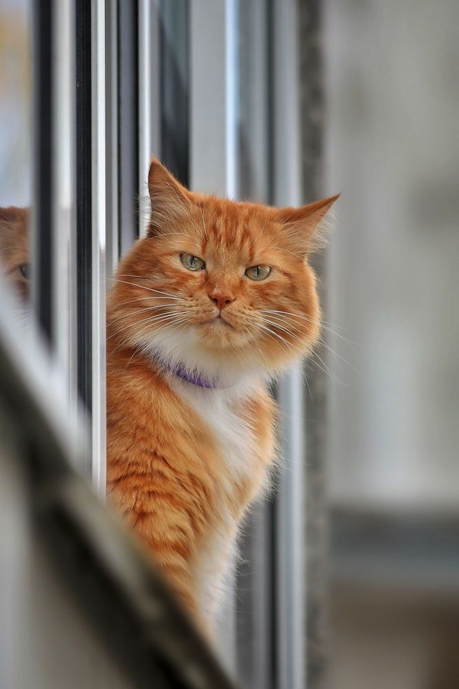 Photograph by Татьяна Бравая