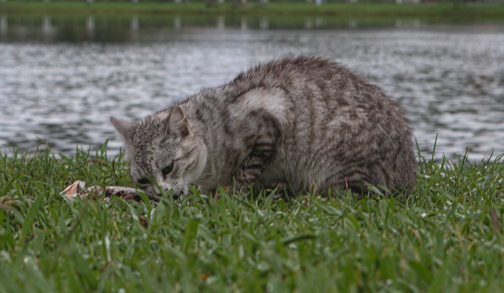 Photograph by zaid alwattar