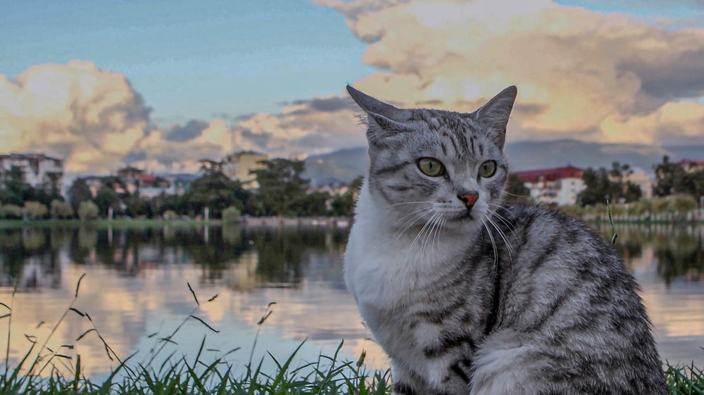 Photograph by zaid alwattar